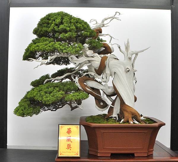 2023華風展_00012.jpg