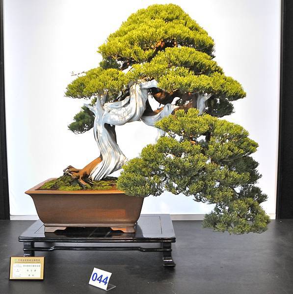 2023華風展_00183.jpg
