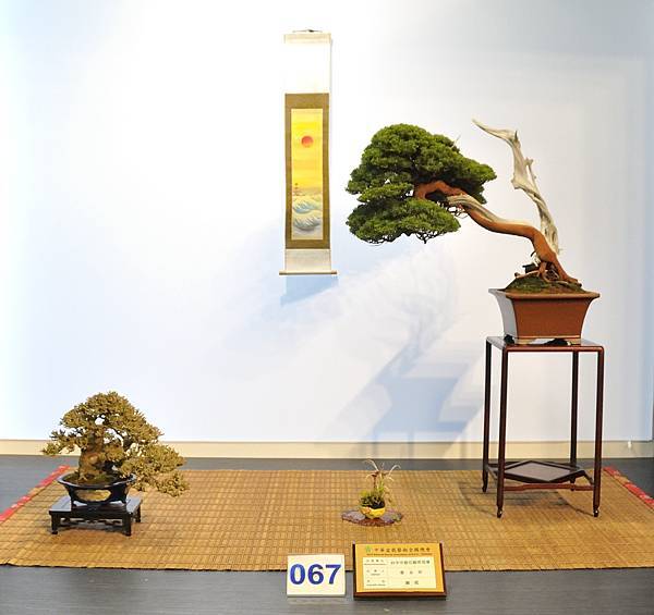 2023華風展_00234.jpg