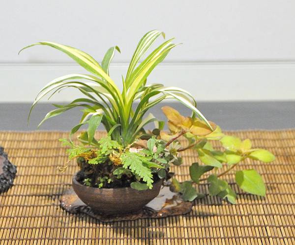 2023華風展_00253.jpg