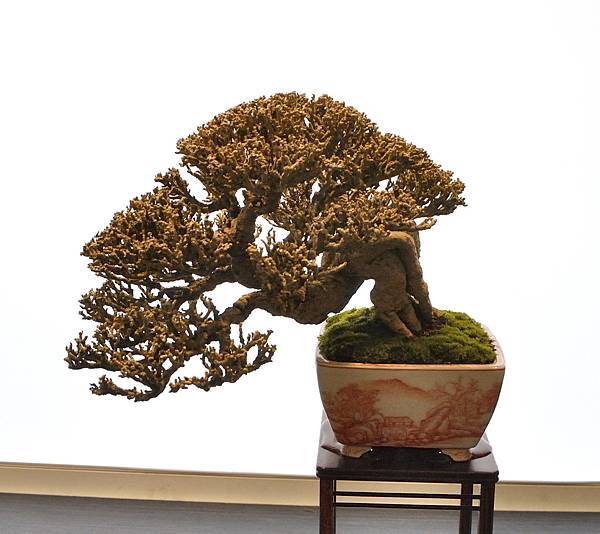 2023華風展_00261.jpg