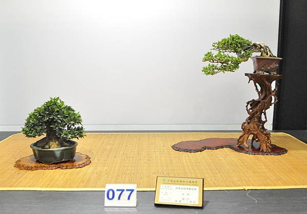 2023華風展_00277.jpg