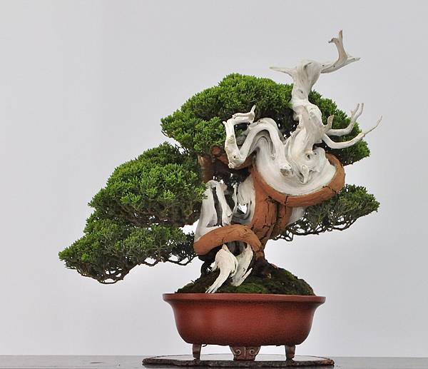 2024雅風展_4.JPG