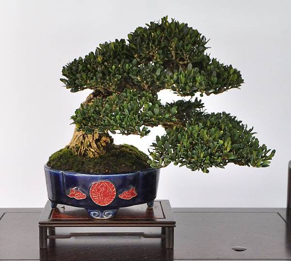 2024雅風展_6.JPG