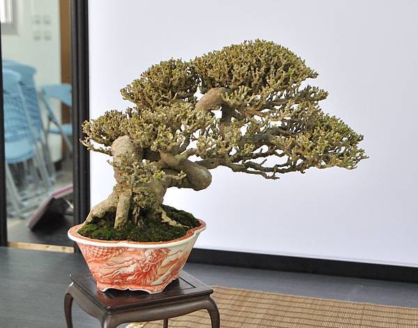 2024雅風展_9.JPG