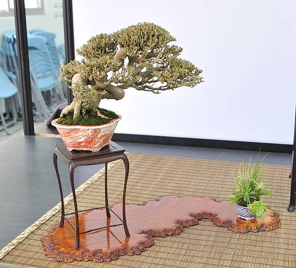 2024雅風展_11.JPG