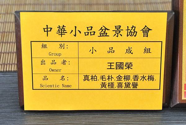 2024雅風展_12.JPG
