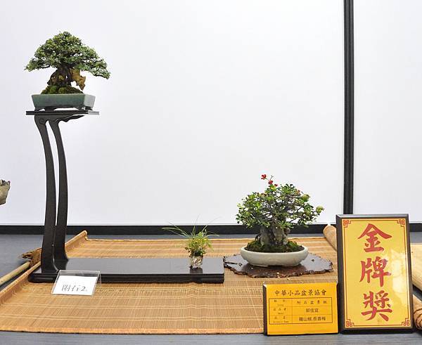2024雅風展_13.JPG