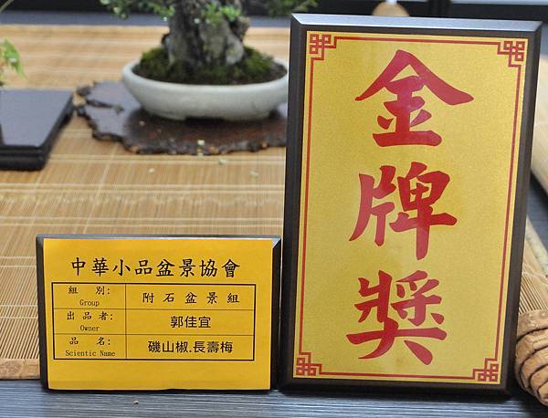 2024雅風展_17.JPG