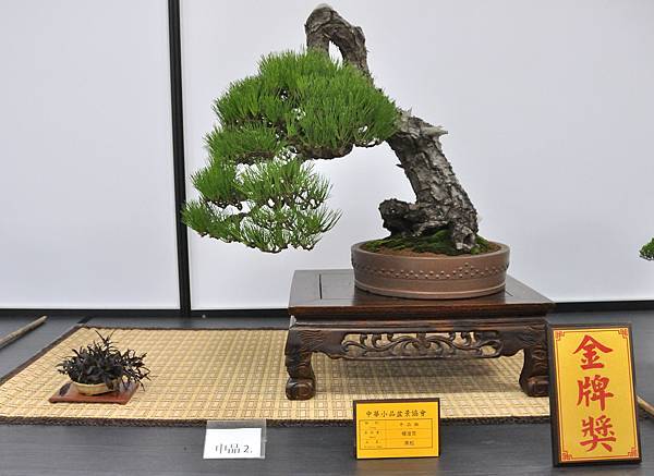 2024雅風展_18.JPG