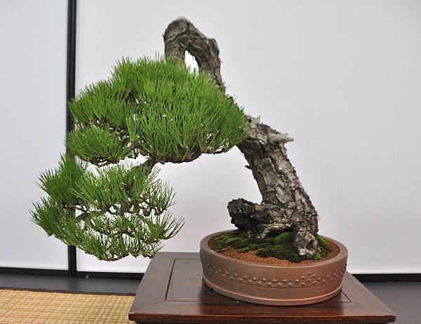 2024雅風展_19.JPG