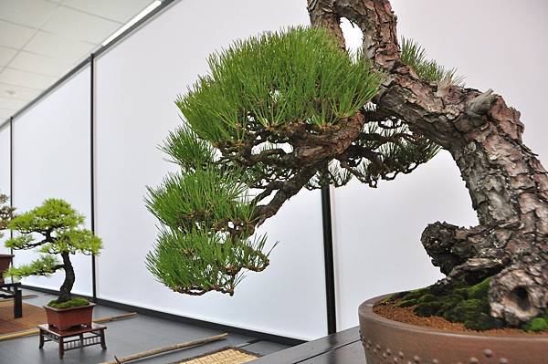 2024雅風展_23.JPG