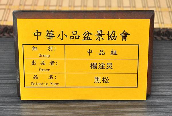 2024雅風展_24.JPG