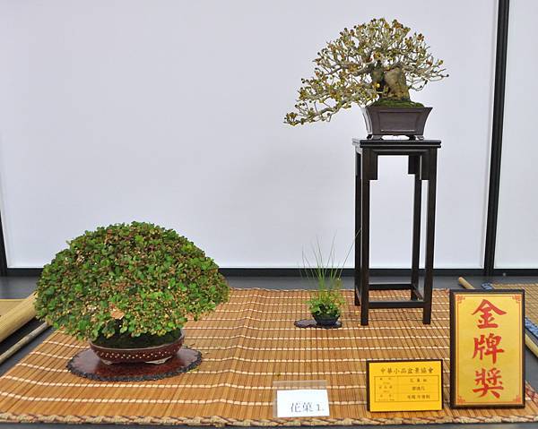 2024雅風展_25.JPG