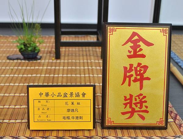 2024雅風展_29.JPG