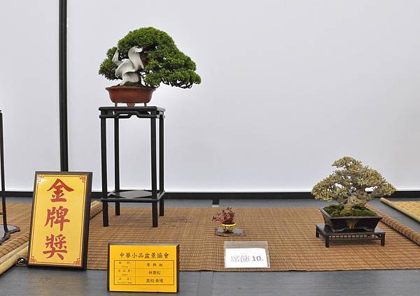 2024雅風展_30.JPG