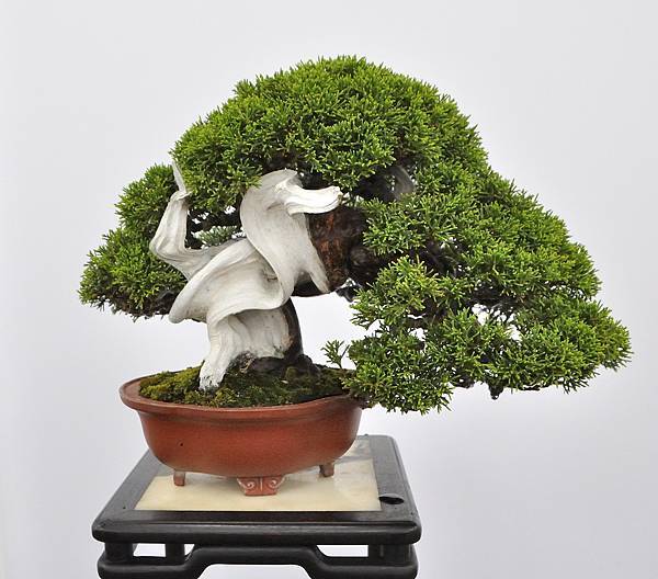 2024雅風展_31.JPG