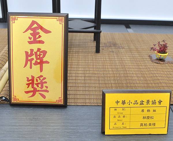2024雅風展_34.JPG
