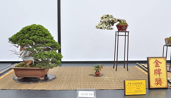 2024雅風展_35.JPG