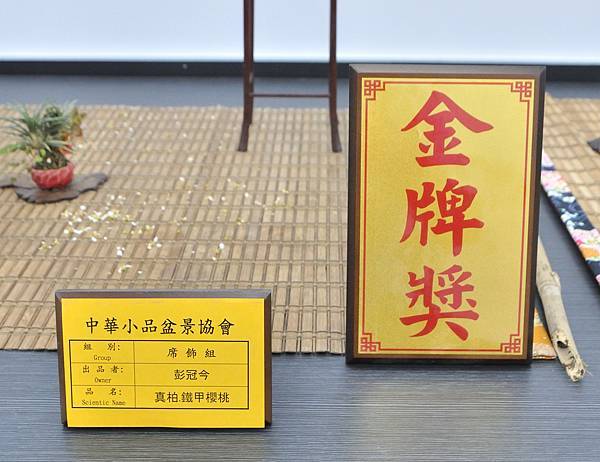 2024雅風展_39.JPG