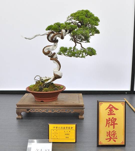 2024雅風展_40.JPG