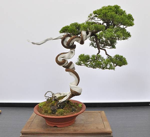 2024雅風展_41.JPG