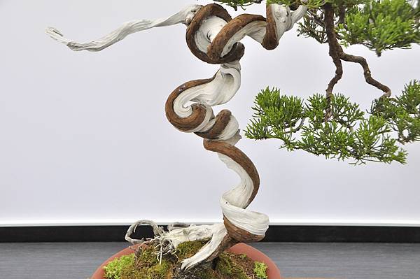 2024雅風展_43.JPG