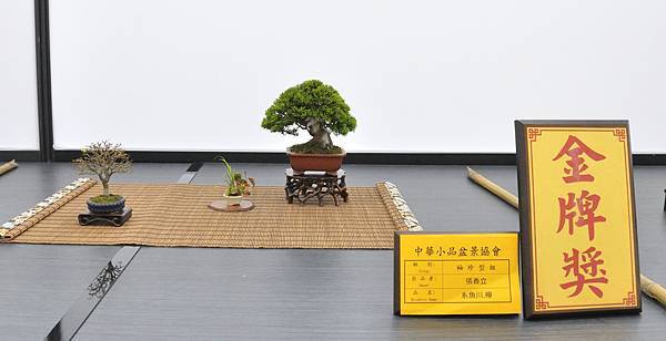 2024雅風展_45.JPG
