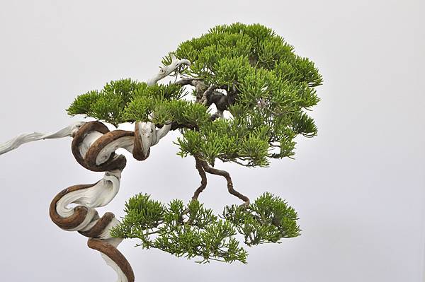 2024雅風展_44.JPG