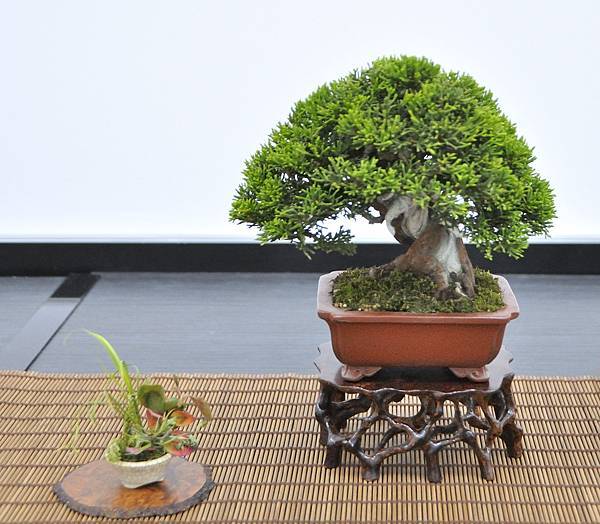 2024雅風展_46.JPG