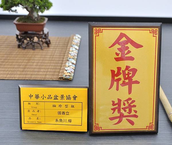 2024雅風展_49.JPG