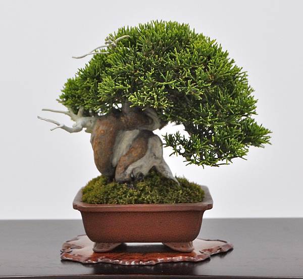2024雅風展_51.JPG