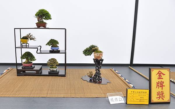 2024雅風展_50.JPG