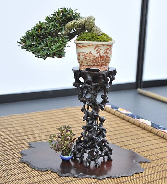 2024雅風展_57.JPG