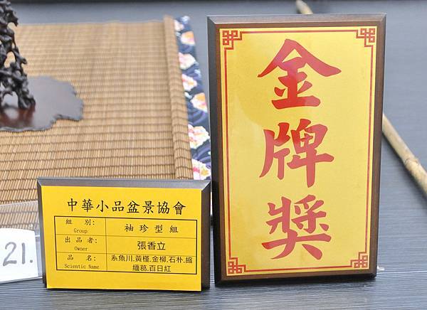2024雅風展_58.JPG