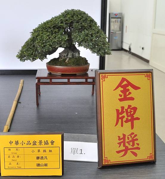 2024雅風展_59.JPG