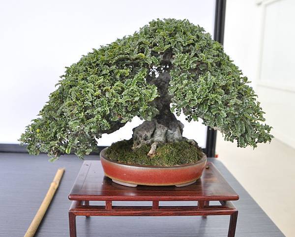 2024雅風展_60.JPG