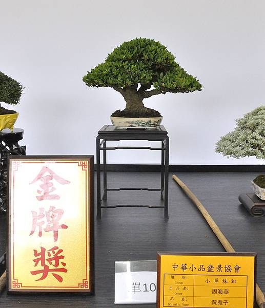 2024雅風展_61.JPG