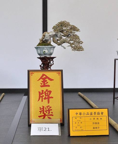 2024雅風展_63.JPG