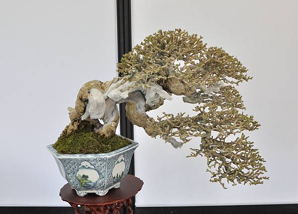 2024雅風展_64.JPG
