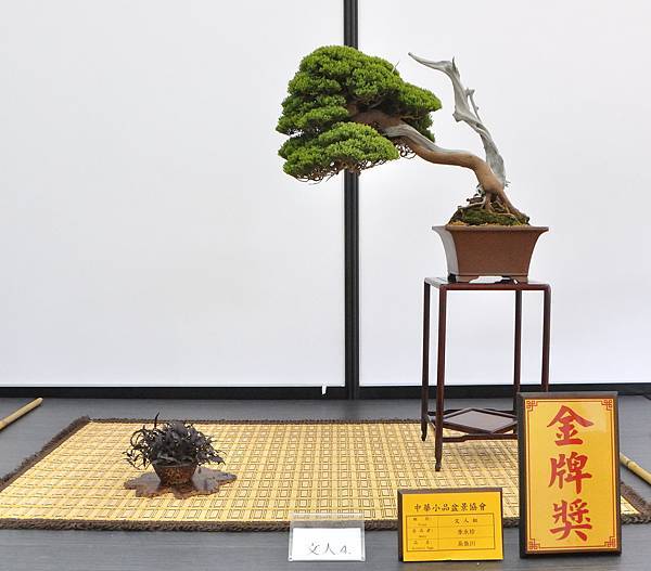 2024雅風展_65.JPG