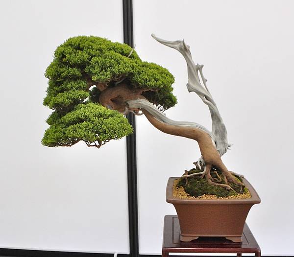 2024雅風展_66.JPG