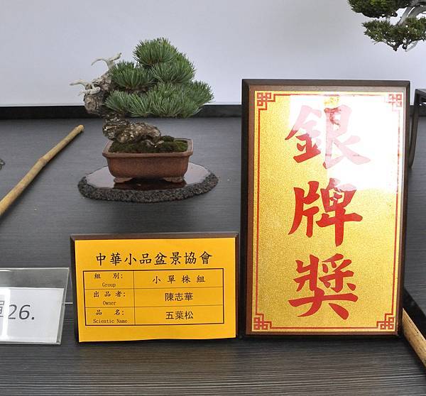2024雅風展_68.JPG