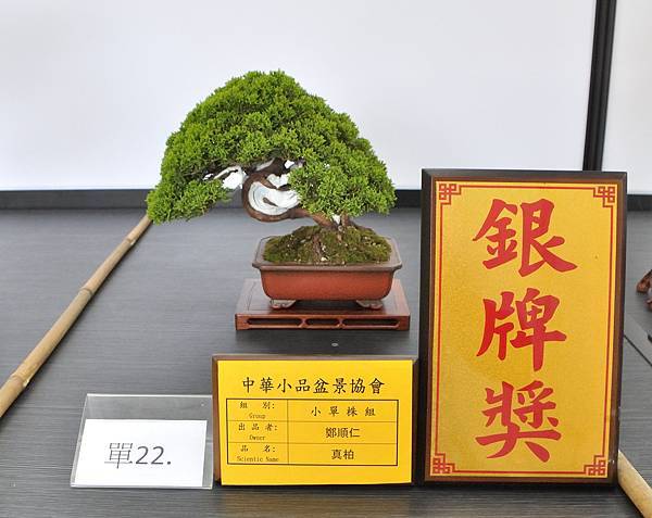 2024雅風展_70.JPG