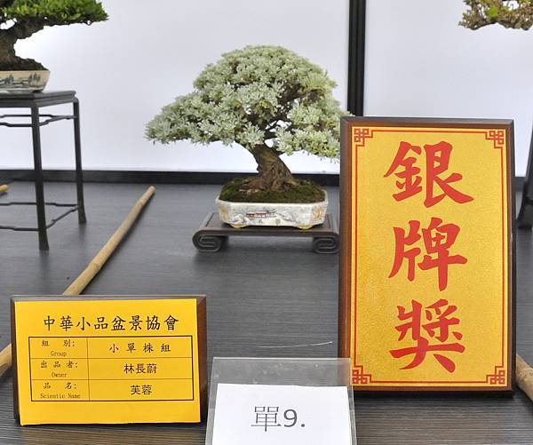 2024雅風展_72.JPG