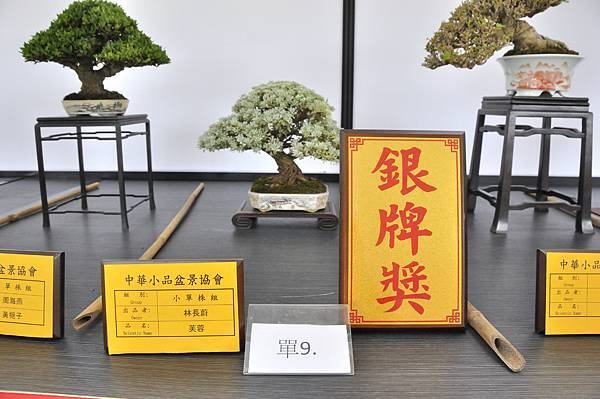2024雅風展_73.JPG