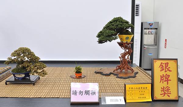 2024雅風展_75.JPG