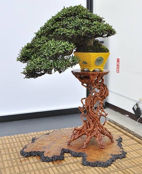 2024雅風展_78.JPG