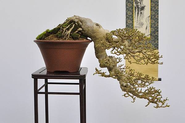 2024雅風展_81.JPG