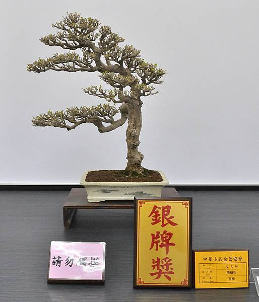2024雅風展_85.JPG